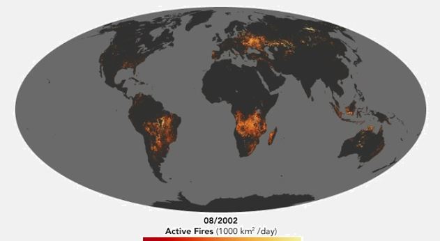 mapa_de_la_nasa_muestra_los_incendios_forestales_que_acaban_con_la_biodiversidad_del_planeta_2