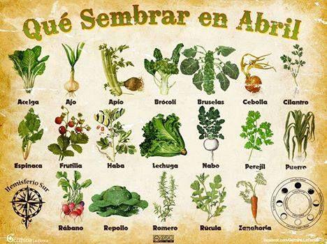 SembrarAbril