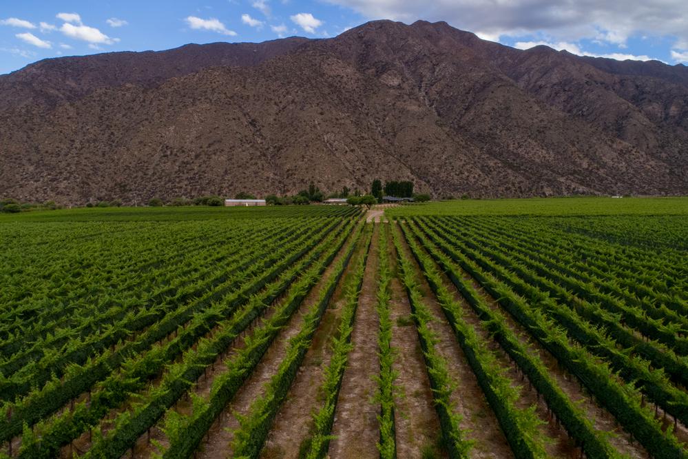 EL OBJETIVO FOTO LA RIOJA chañarmuyo