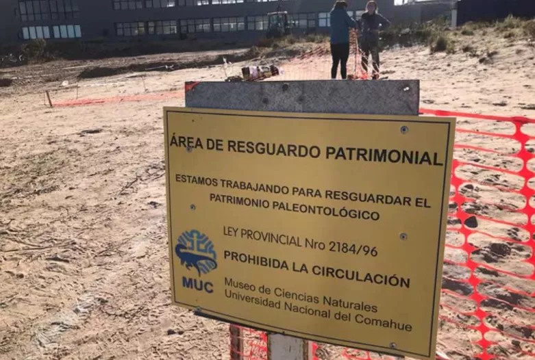 huevos de dinosaurio