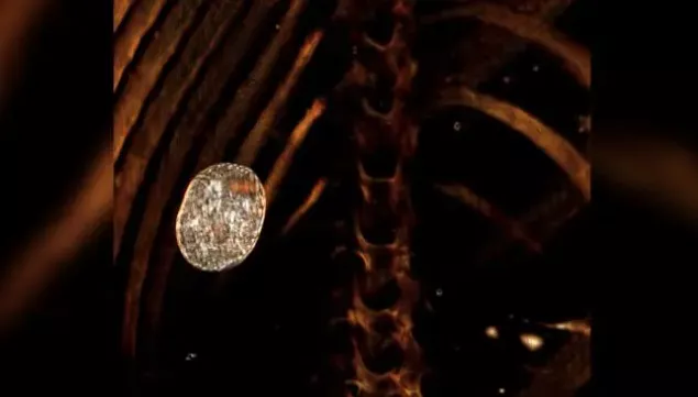 niño de oro momia escarabajo de oro corazon