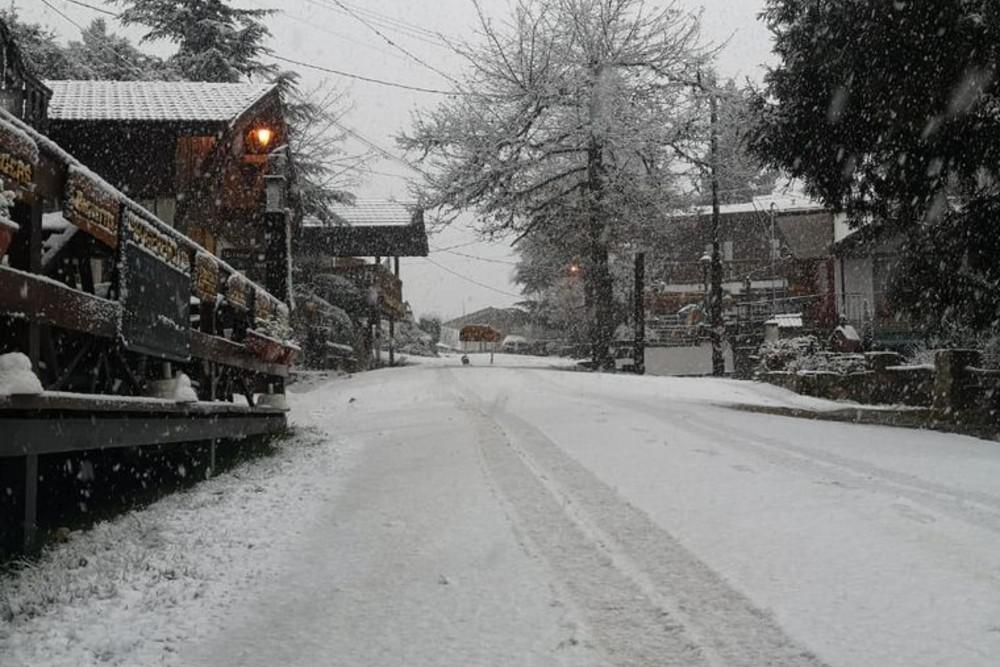 nevada calamuchita (1)