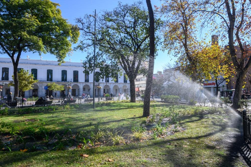 Riego plaza san MARTIN (1)