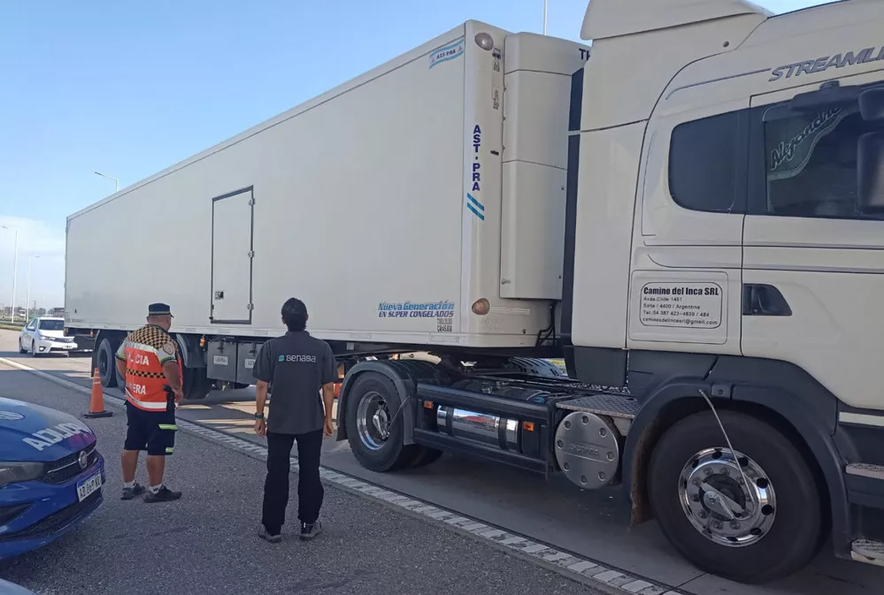 EL OBJETIVO FOTO CONTROLES GRIPE AVIAR 1