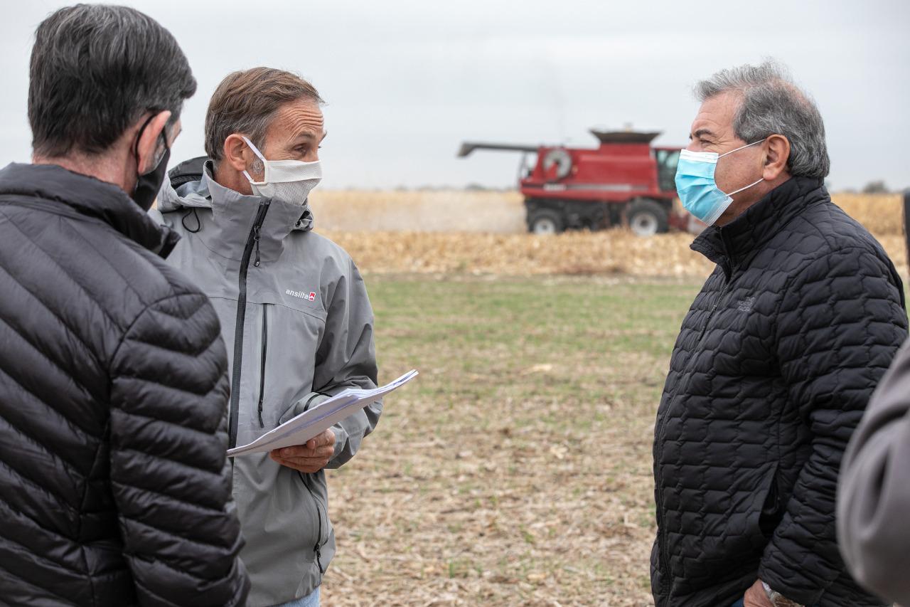 WhatsApp Image 2020-06-09 at 16.57.25