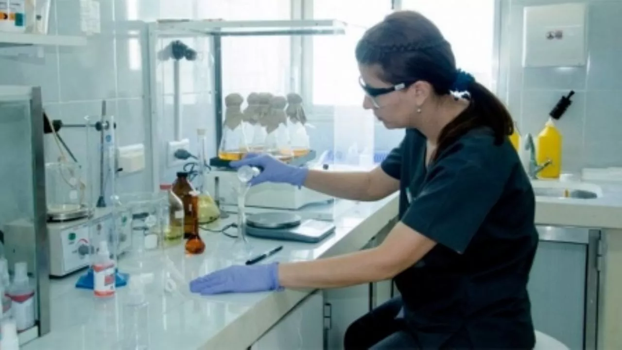 los casos de sífilis