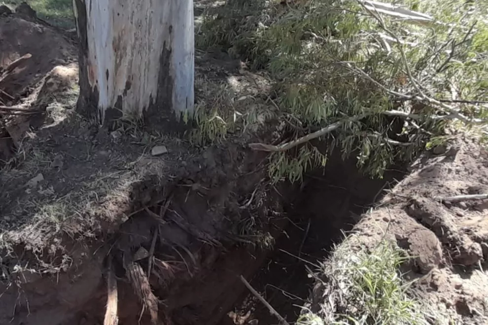 la policía ambiental
