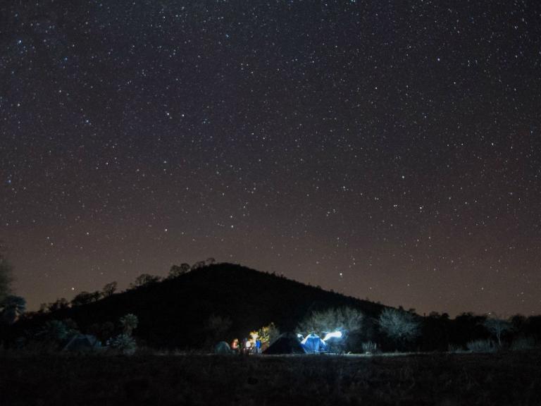 36.-Noches-de-Pocho-768x576