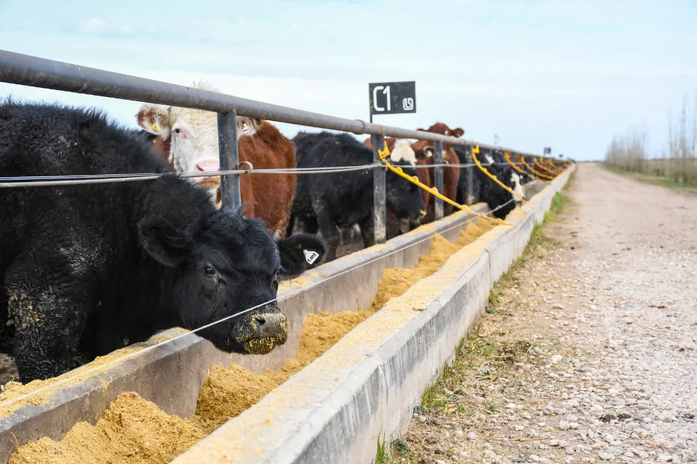 economía circular ambiente