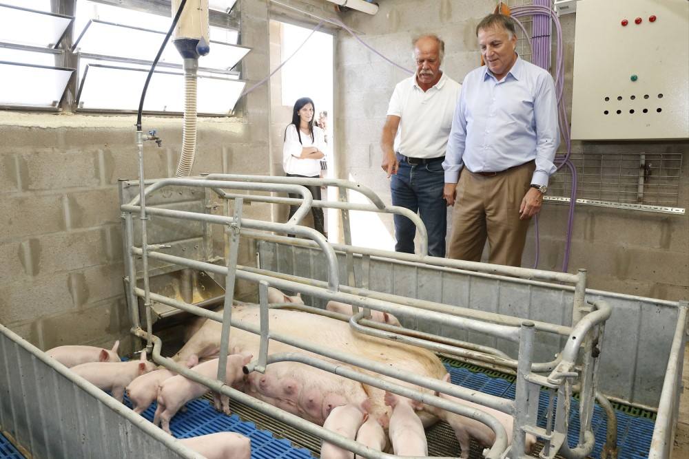 Visita a la empresa Isowean