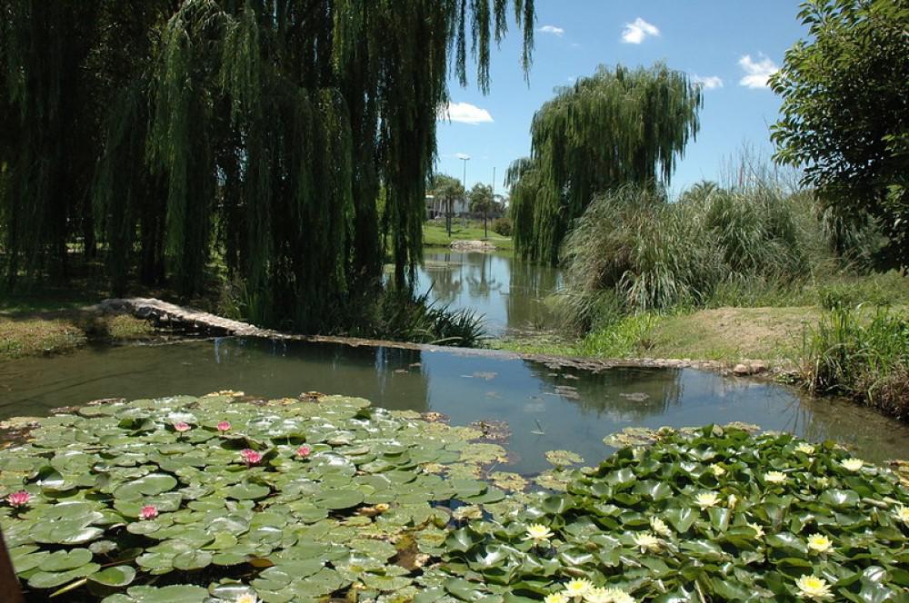 jardn-botnico-1