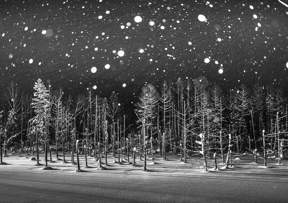 fotos-ganadoras-national-geographic-13