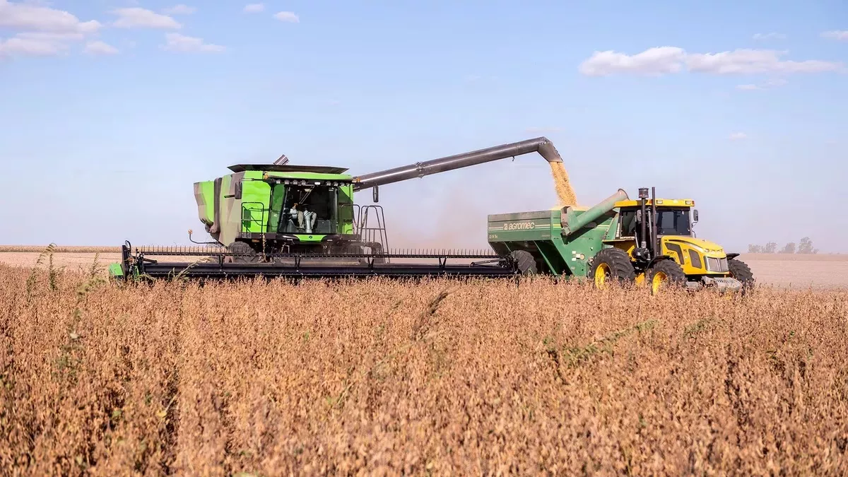 boletín oficial dólar soja