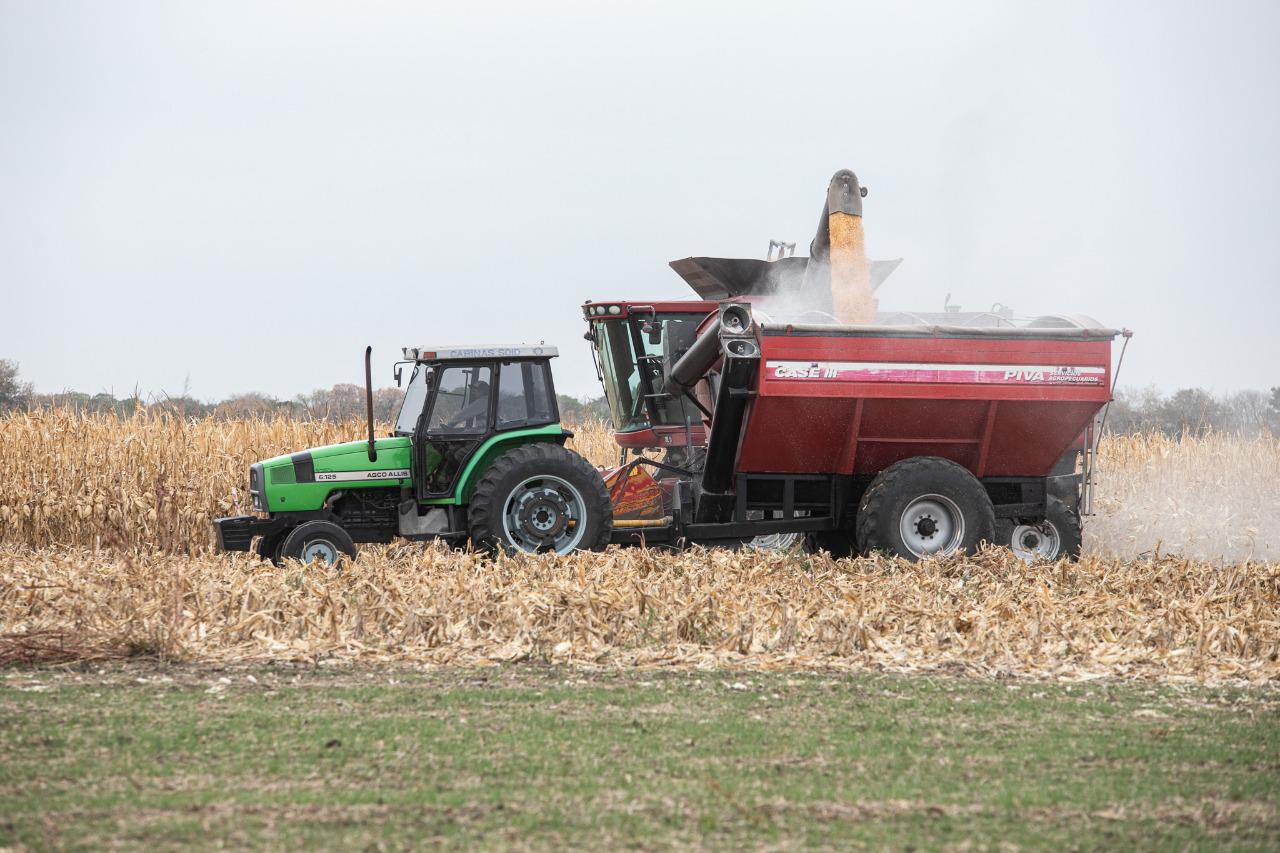 WhatsApp Image 2020-06-09 at 16.57.25(1)