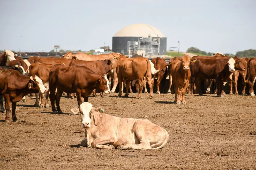 economía circular cba