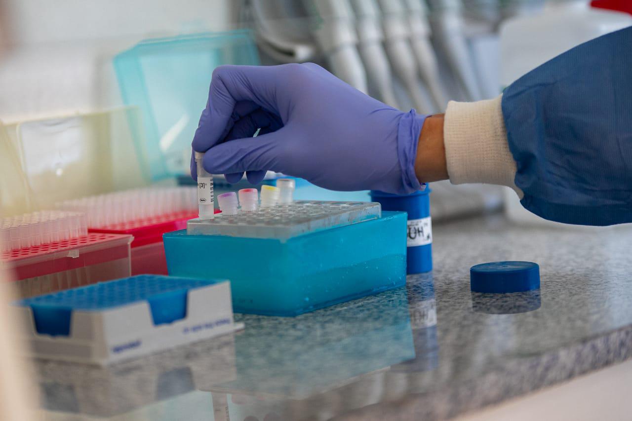 WhatsApp Image 2020-03-28 at 23.11.29