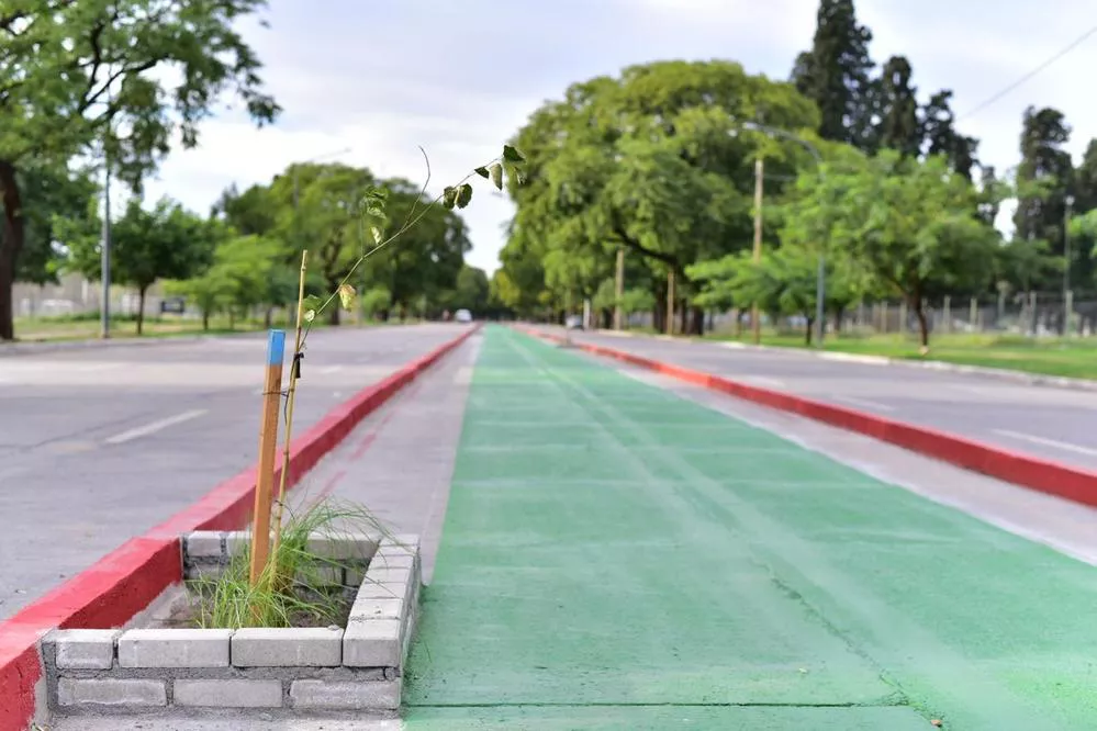 EL OBJETIVO FOTO CÓRDOBA CICLOVÍA NORES MARTÍNEZ 2