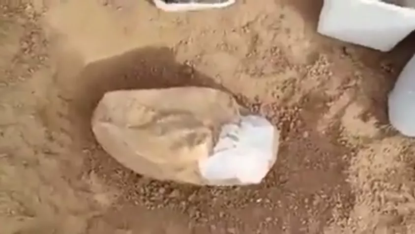 nene de 8 años encontró un cráneo de 700 mil años 2