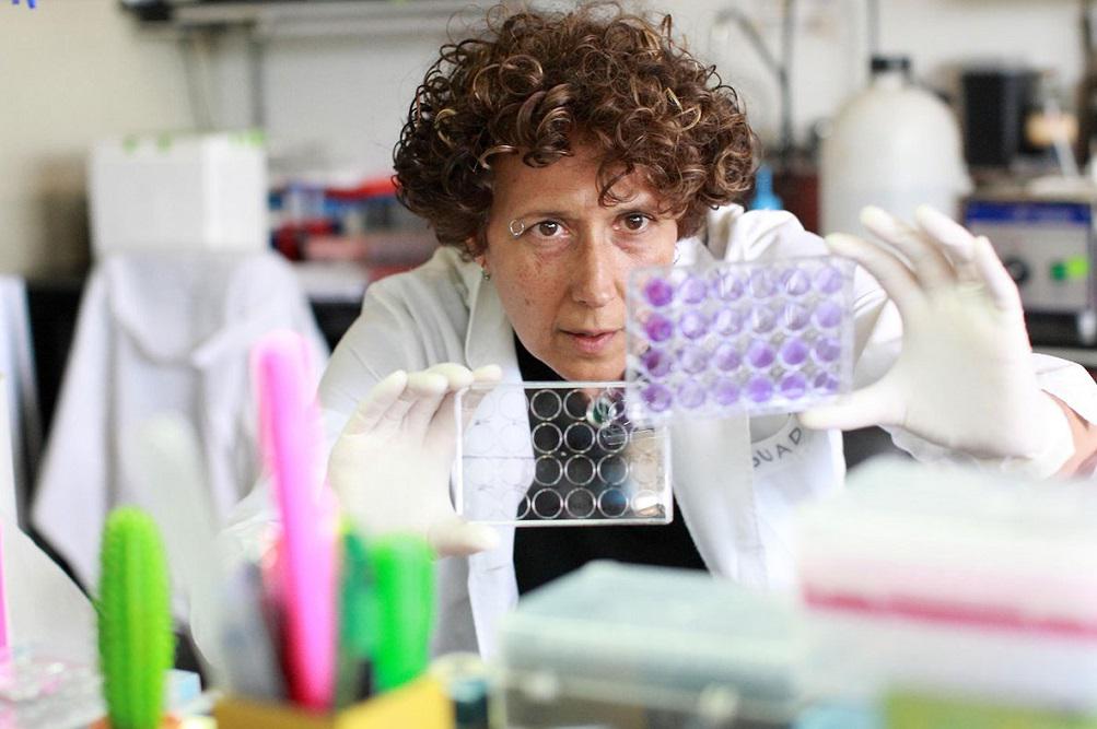 Andrea Gamarnik Virolaga