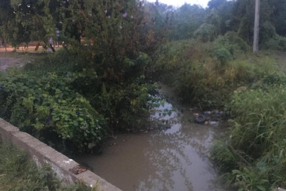 Cadáver Canal Maestro