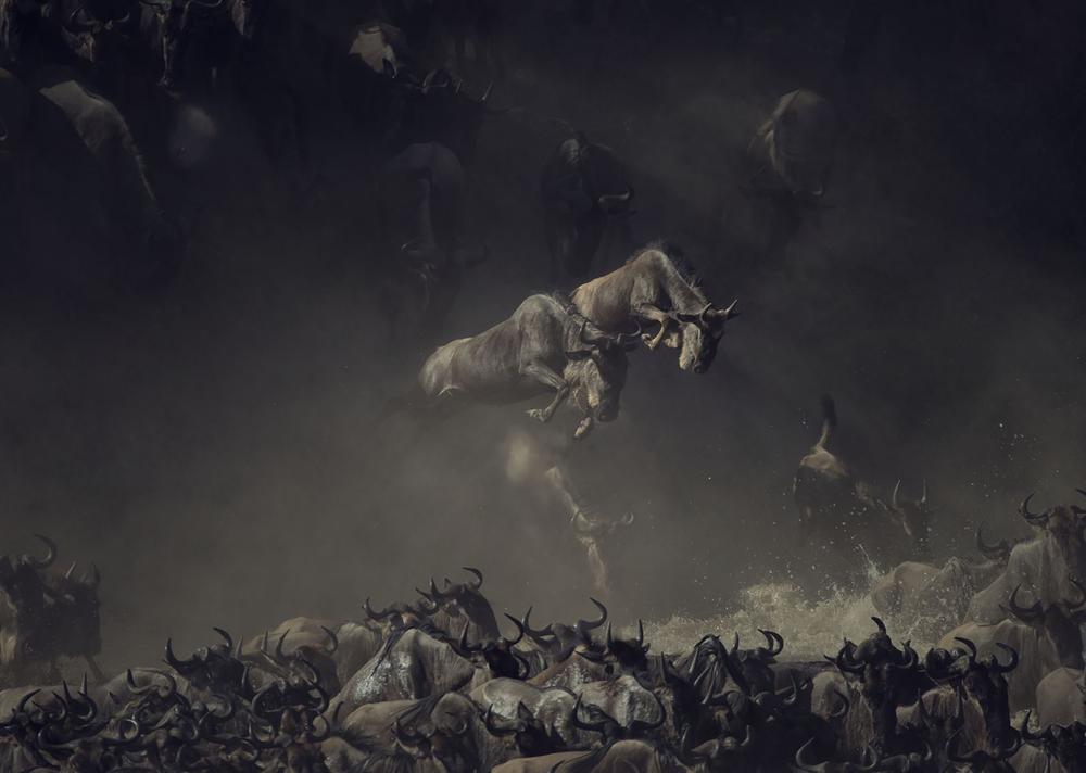 fotos-ganadoras-national-geographic-11