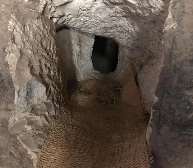 colecta virtual para poder excavar una particular tumba del Antiguo Egipto 4