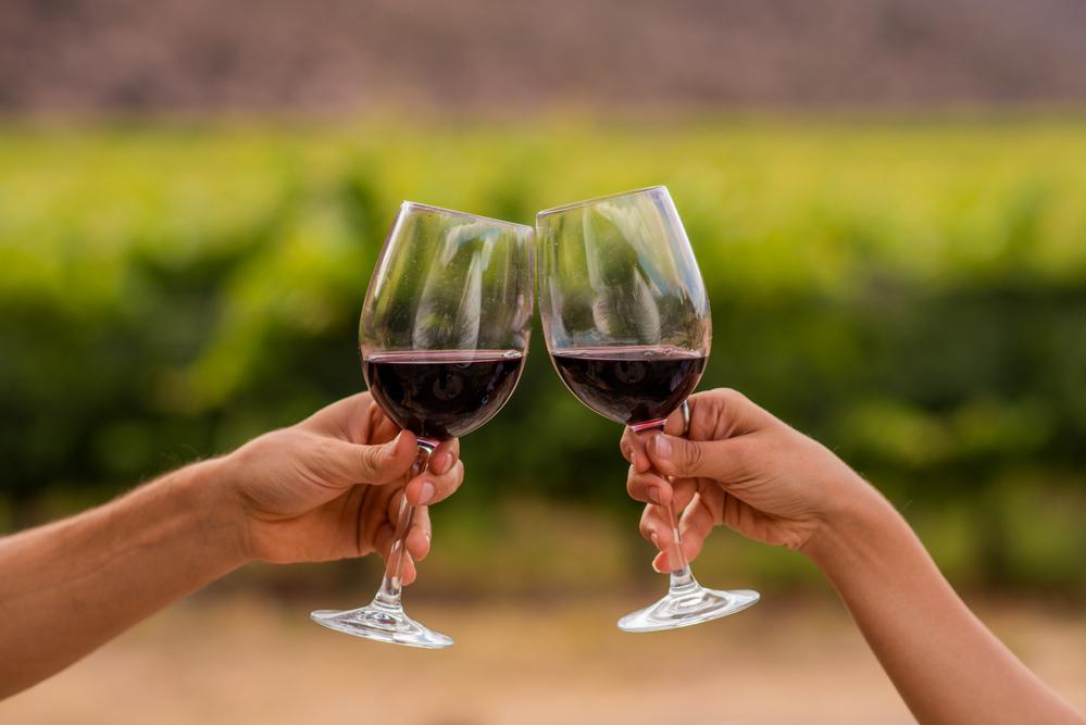 EL OBJETIVO LA RIOJA chilecito-famatina_jpgalta (14)