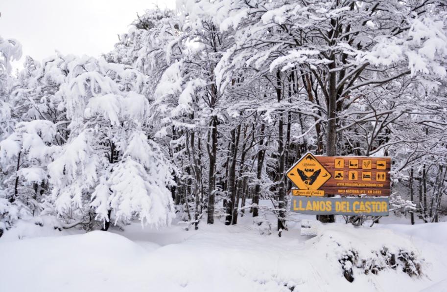 Llanos del Castor Tierra de Fuego