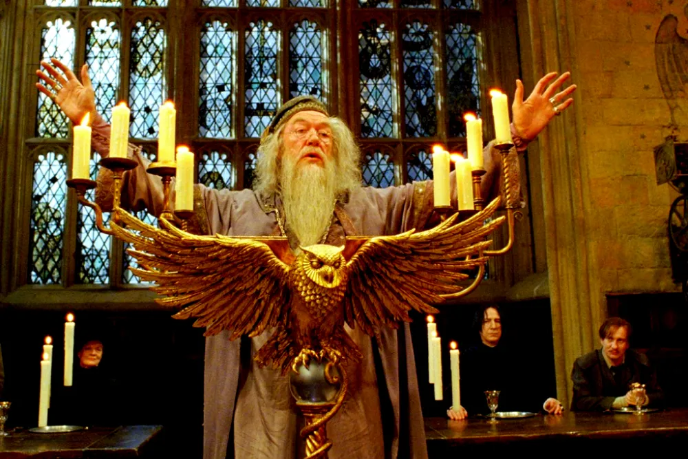 Dumbledore 2