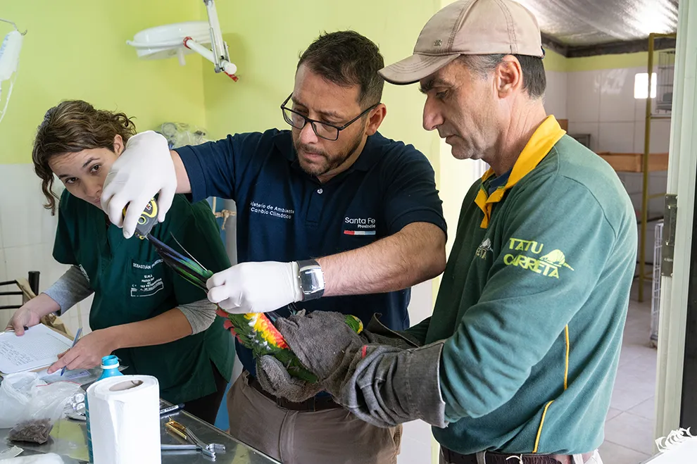 la conservación de loro cba