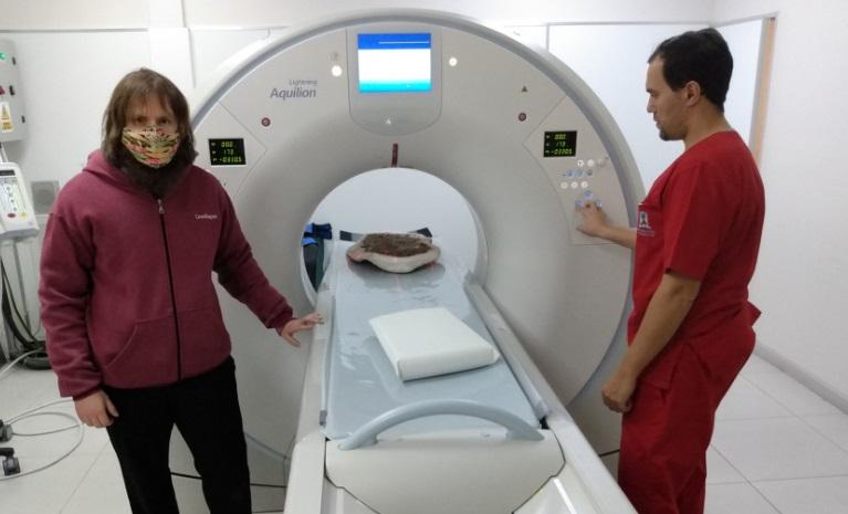 tomografías para estudiar los secretos sobre los dinosaurios 3