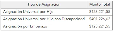 valores a cobrar AUH