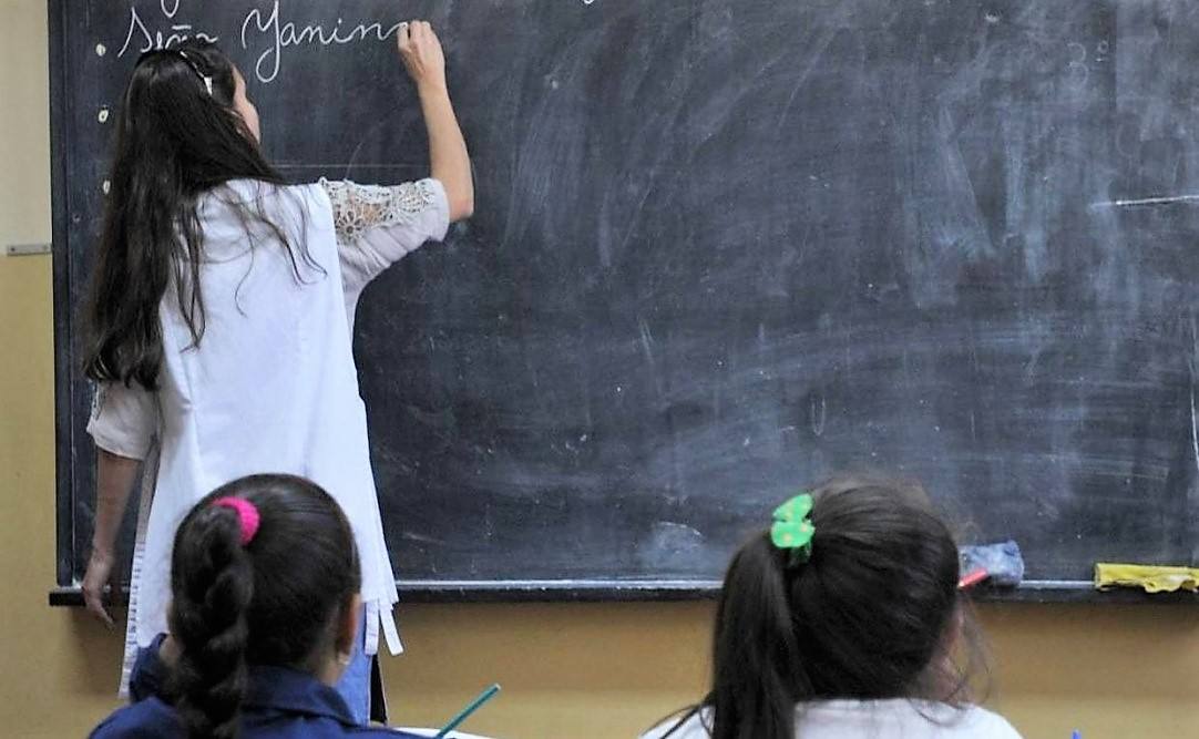 docentes