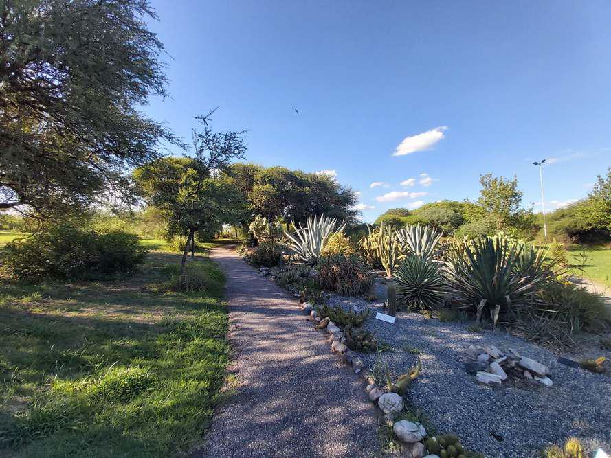 11-Jardin Botanico - El Objetivo