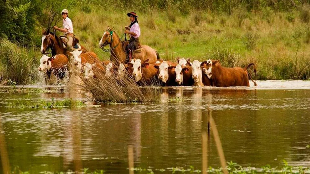 EL OBJETIVO FOTO INUNDACIONES TELAM