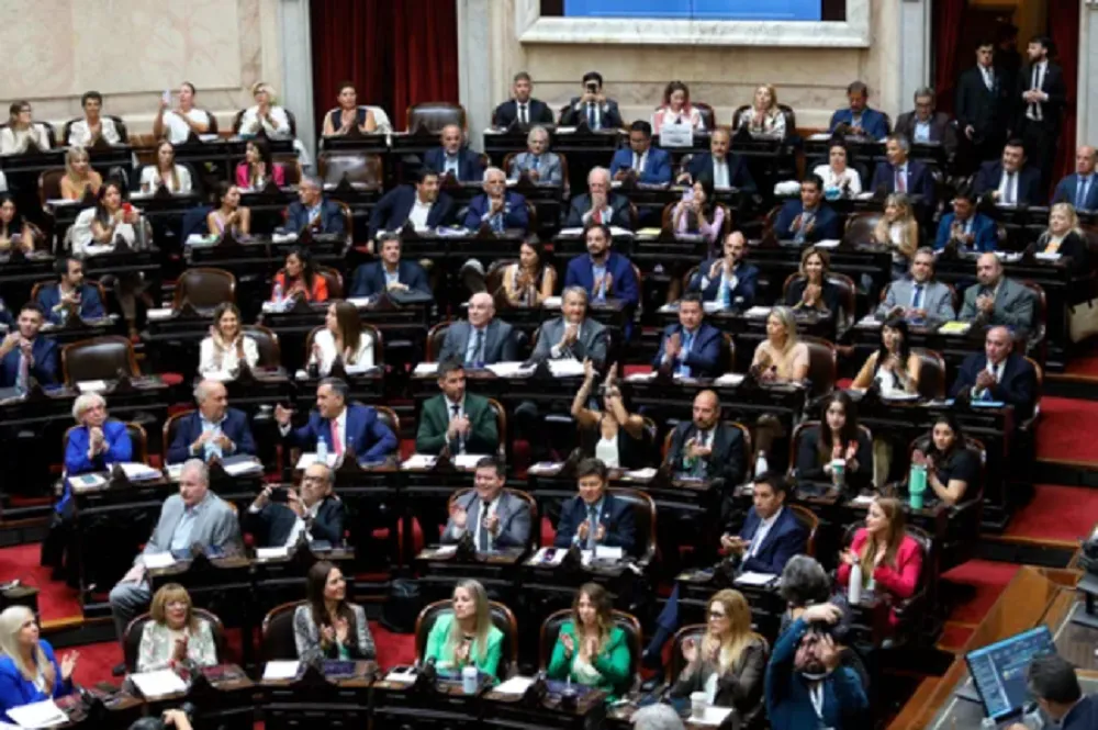 Diputados ficha Limpia