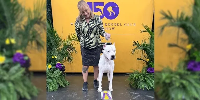 Toky dogo argentino