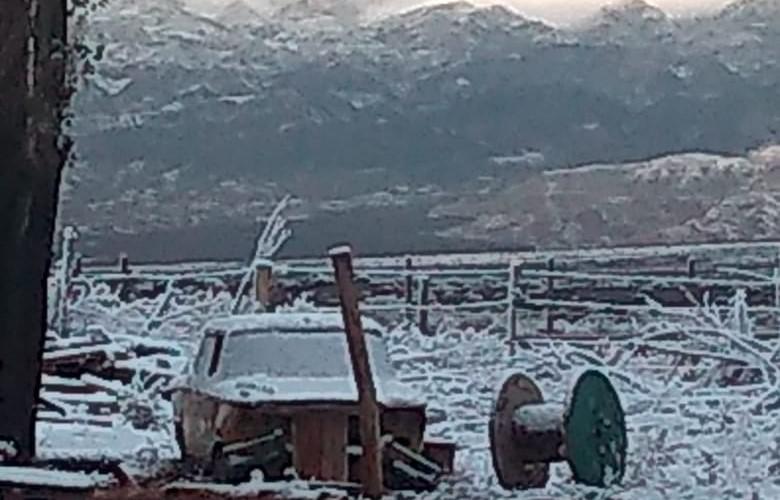 Nevada 5