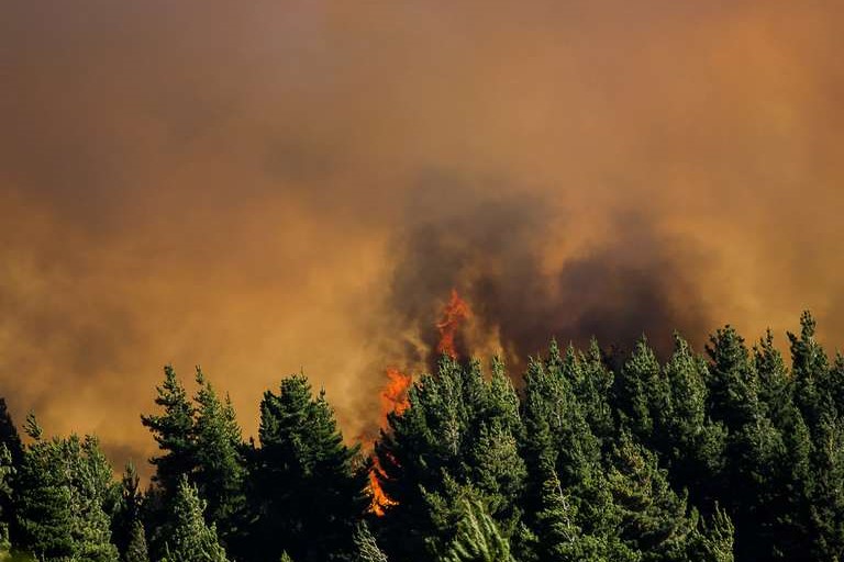 incendio-en-epuyen-22