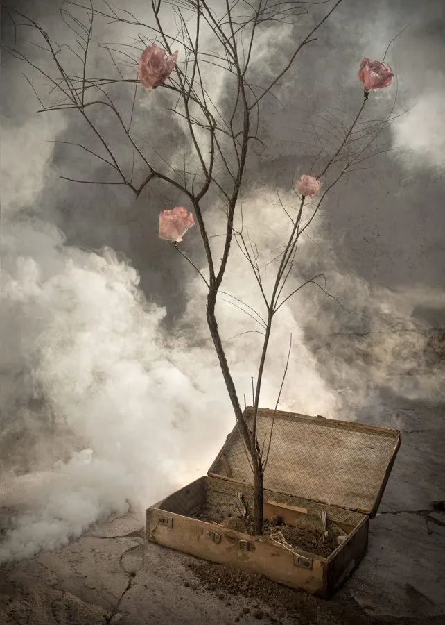 el incendio de las flores