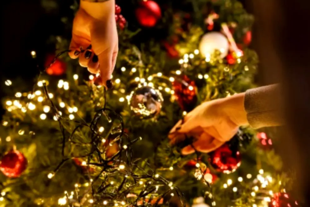 armado de arbol e navidad