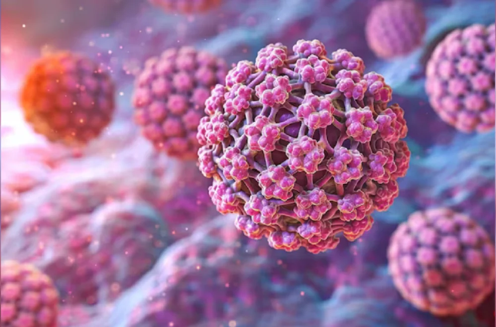 Virus HPV