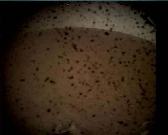 sonda Insight 3
