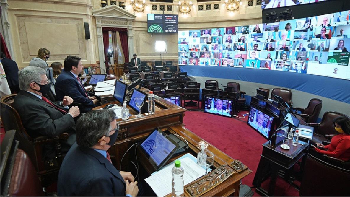Senado Vicentin 11
