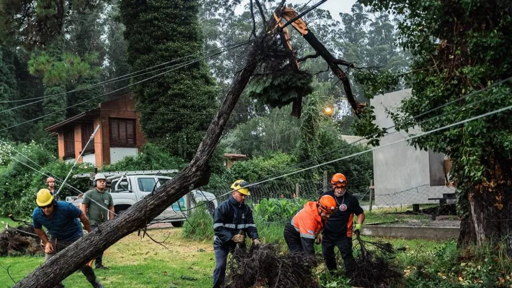 EL OBJETIVO FOTO MAR DEL PLATA LACAPITAL X arboles-caidos-1024x576