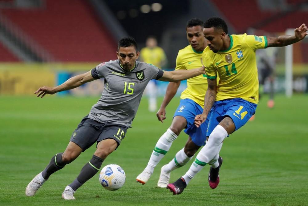 bra ecu (1)