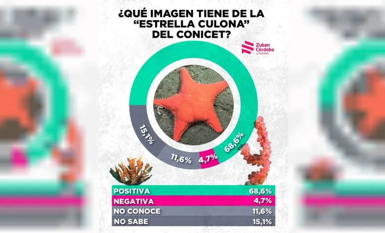 estrella culona datos