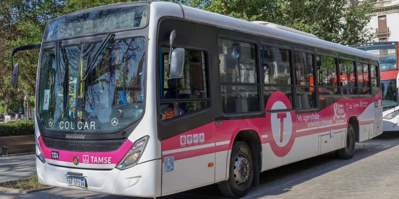 colectivo rosa de tamse