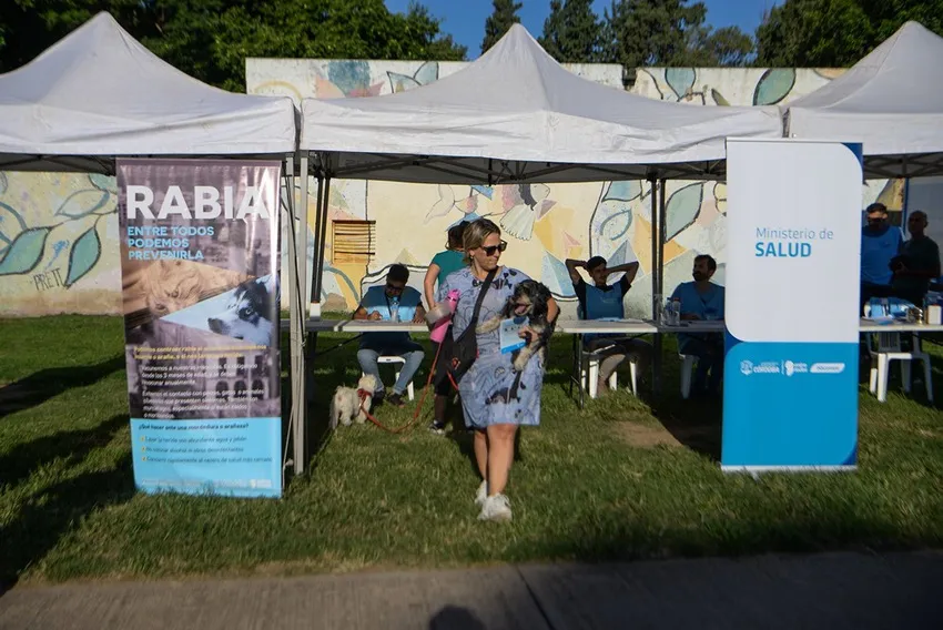 campaña-vacunación-antirrábica_ cba.gov.ar