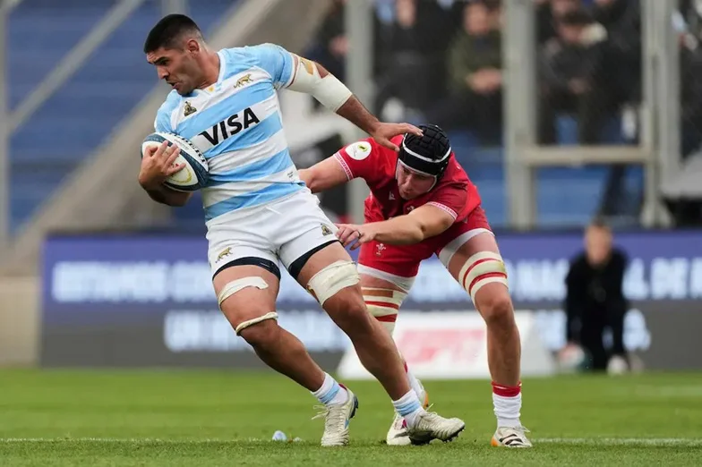 los pumas